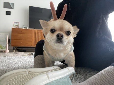 불가마순대국밥 이미지