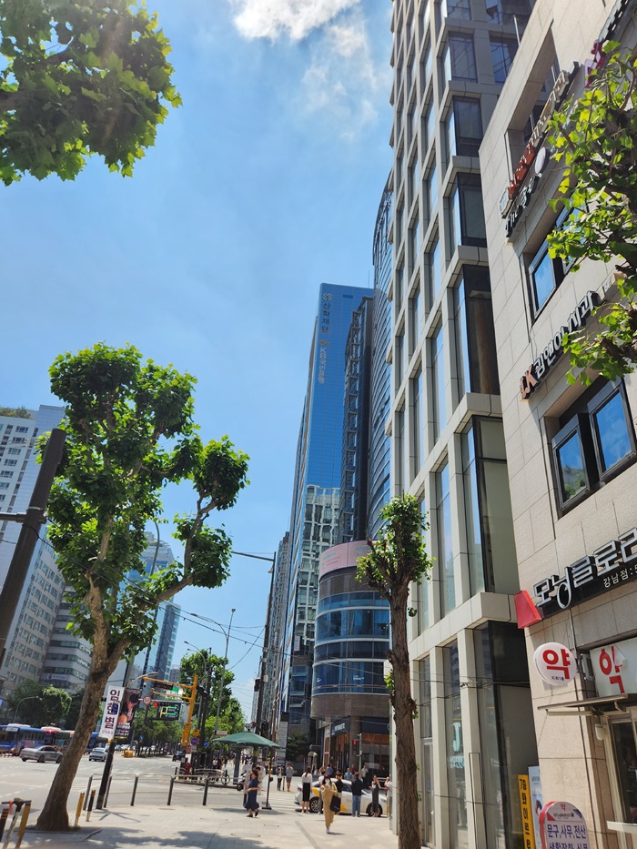 강남스탠다드정형외과 이미지