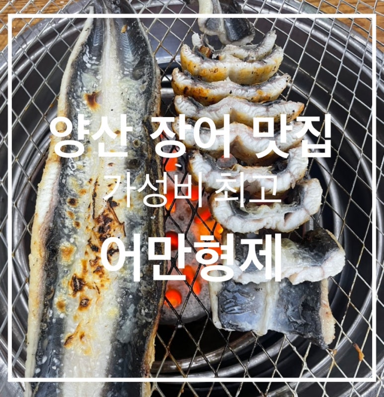 어만형제 이미지
