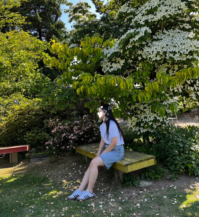 스테이해뜰우 이미지