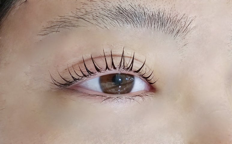 다봄뷰티 이미지