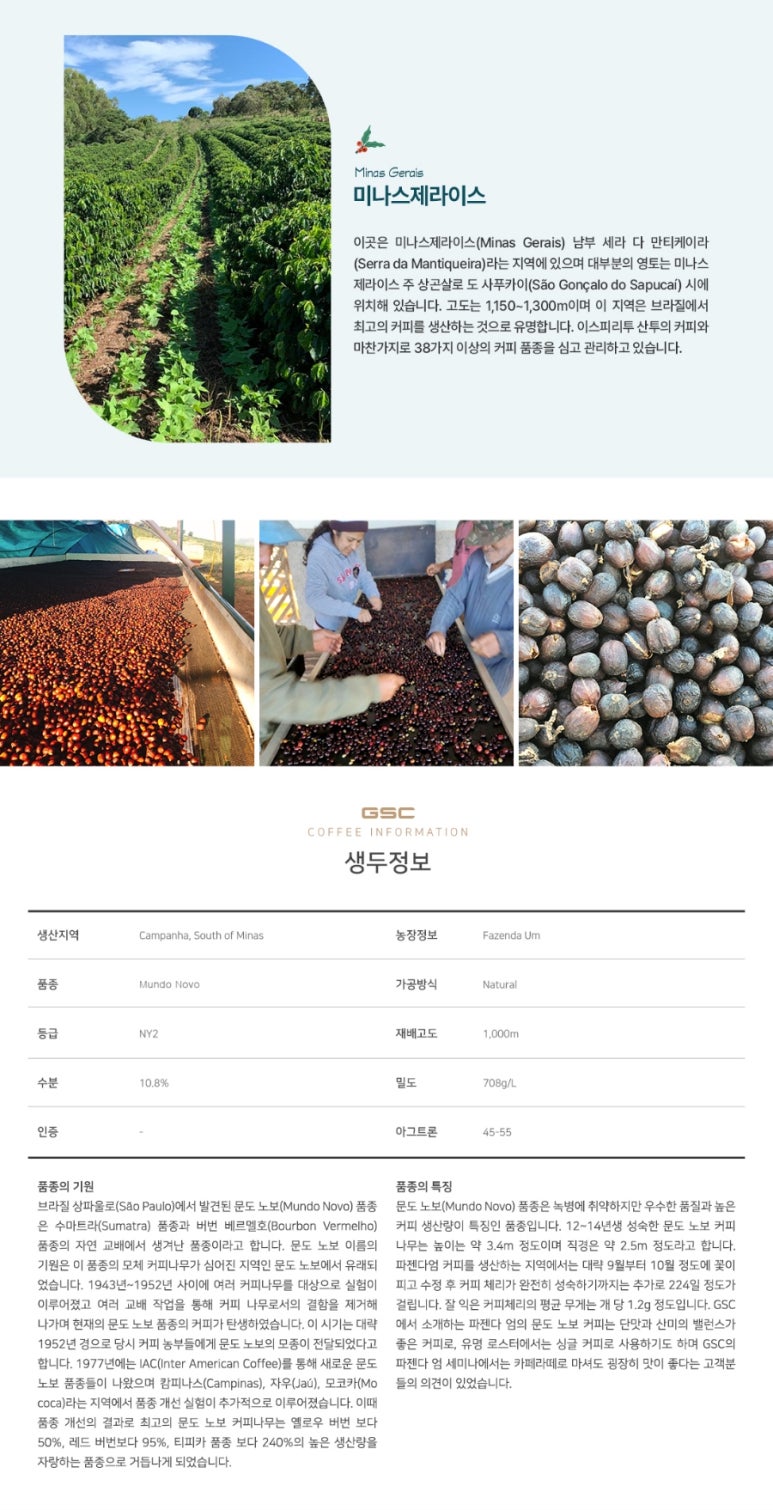 그린내추럴 이미지