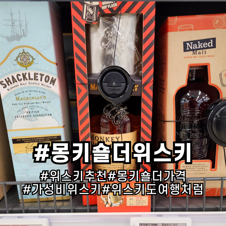 몽키플러스 이미지