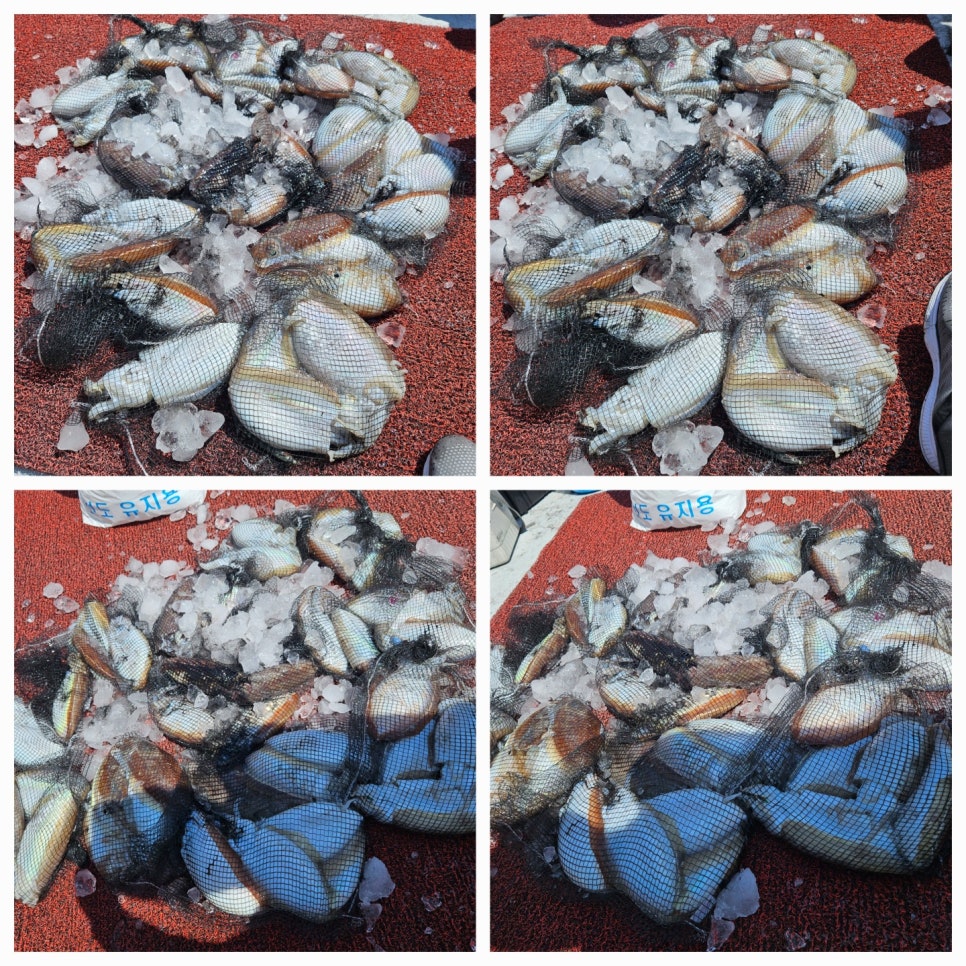 인천칸피싱 이미지