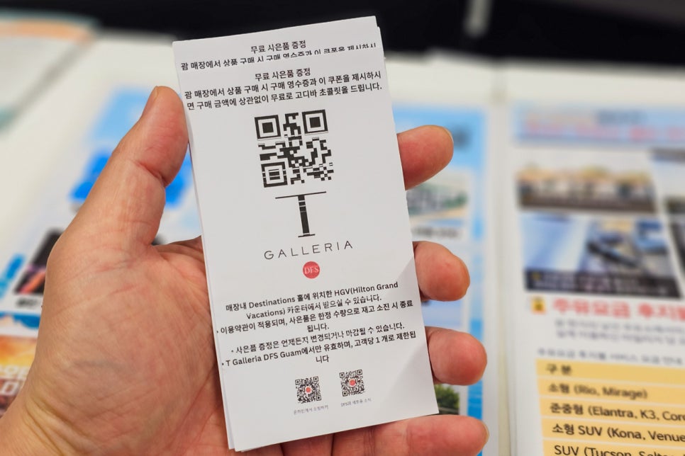 라이온렌트카 이미지