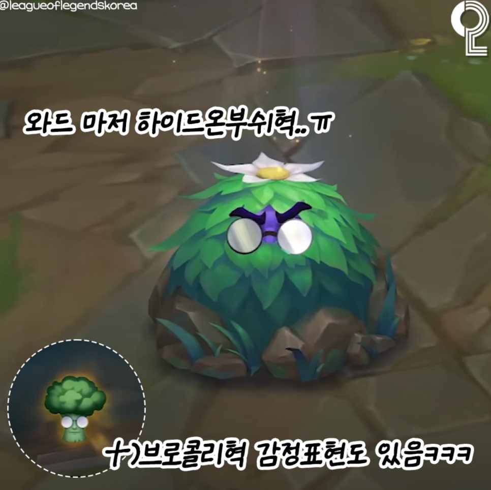 하이드온부쉬 이미지