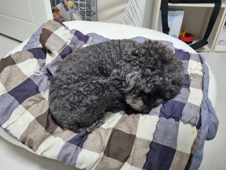 꾸브라꼬숯불치킨화성 이미지
