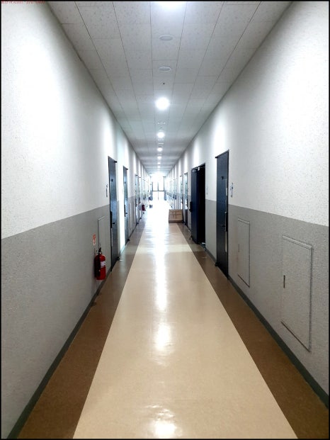 웨이브디 이미지