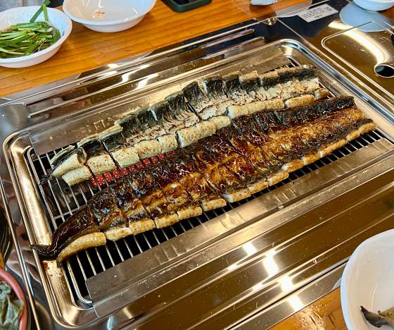 풍천민물장어직판장 이미지