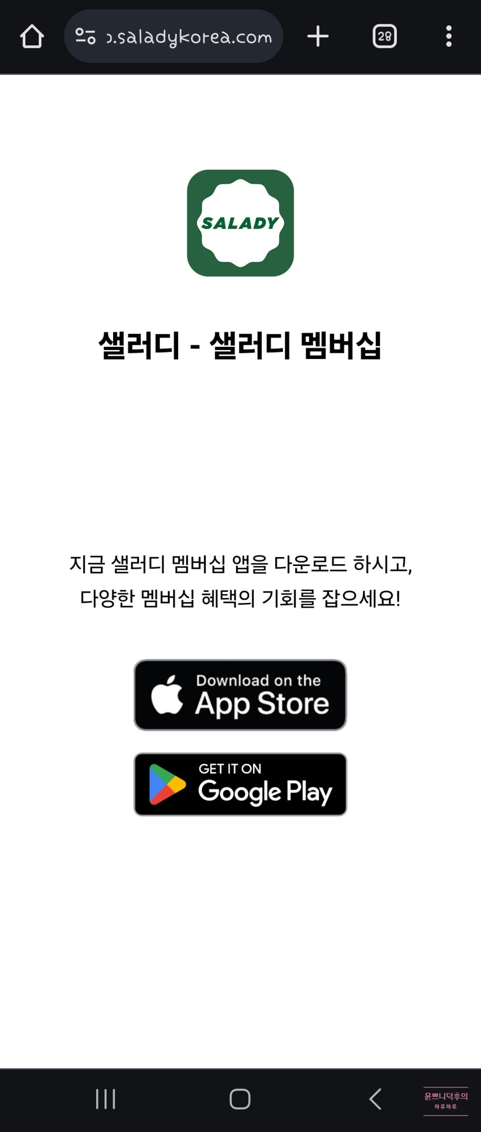 샐러디 방배역점 이미지