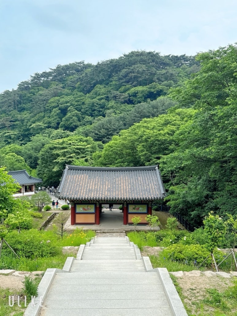 (주)용문여행 이미지