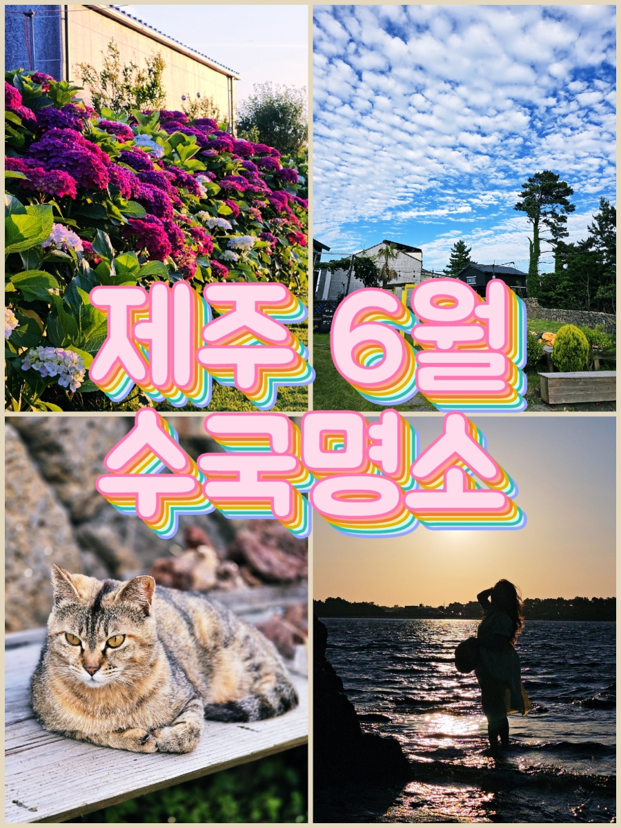 제주사랑펜션민박 이미지