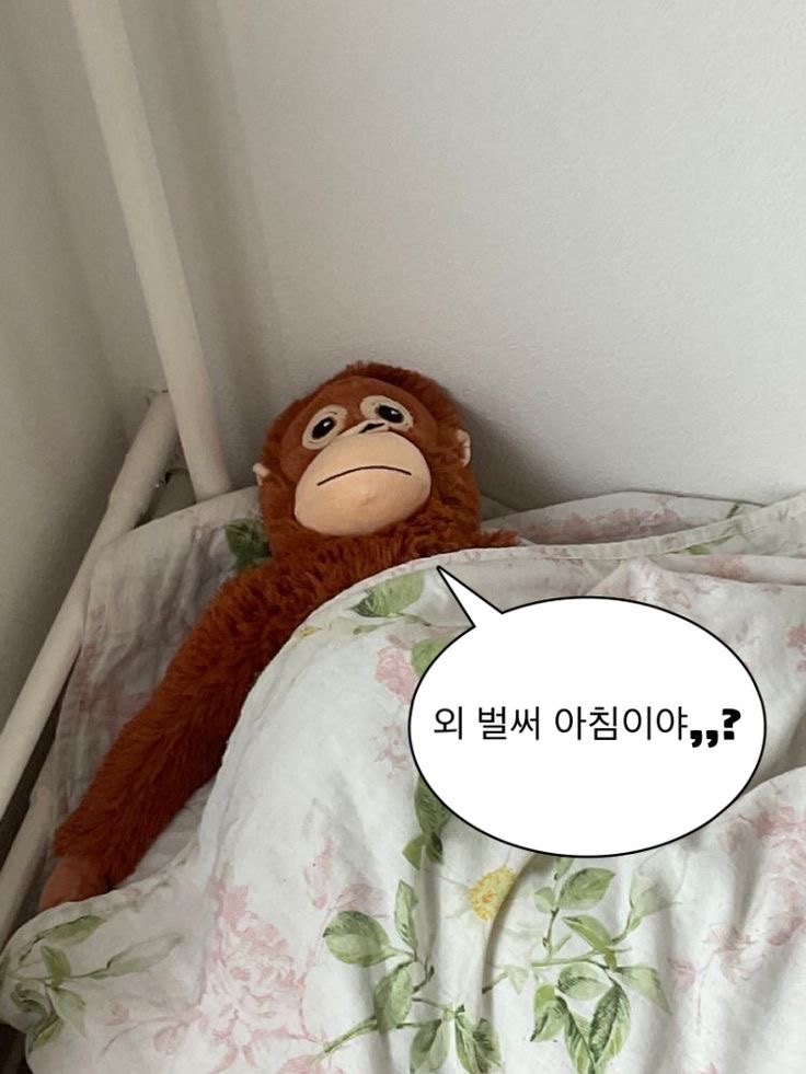 짬뽕가 이미지