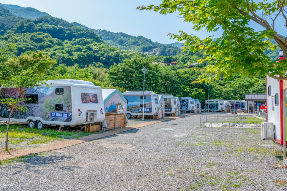 포레스트카라반파크 이미지