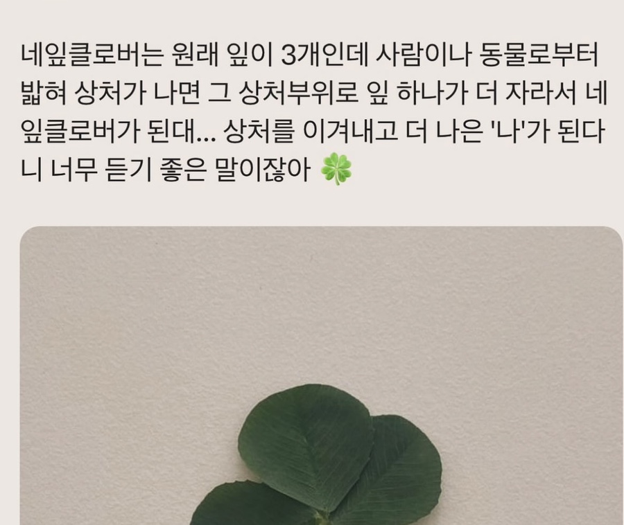 작은물결 이미지