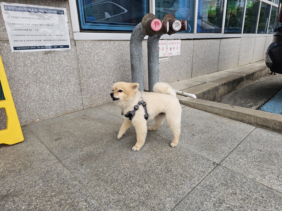 온양농협하나로마트발리점 이미지
