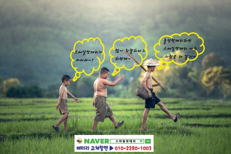 보배밧데리 이미지