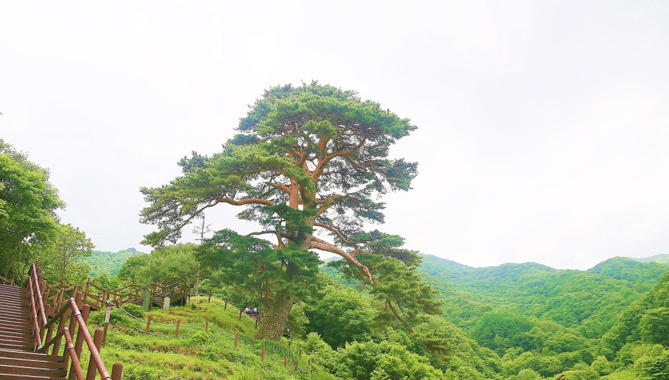 남원지리산 이미지