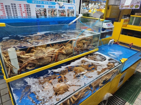 공원앞종합어시장 이미지