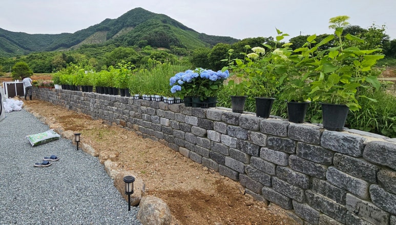 남천식물원 이미지