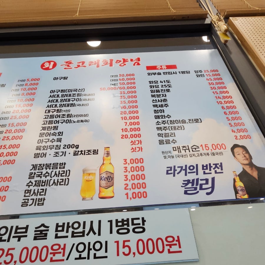 돌고래회 이미지