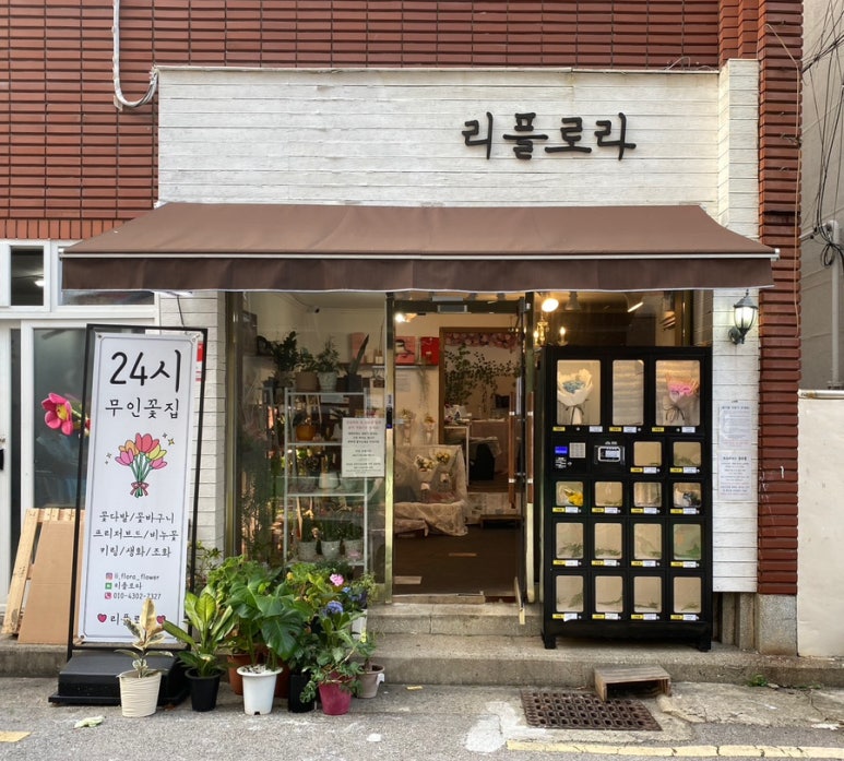 리플로라 이미지