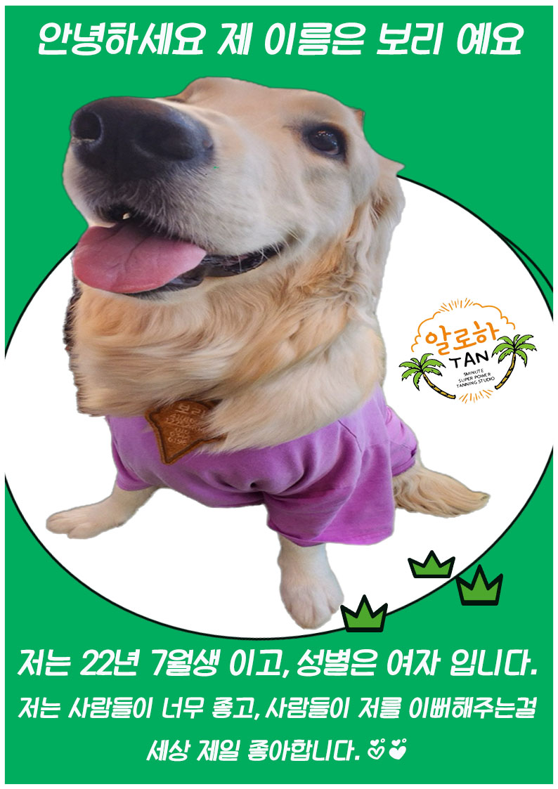 알로하탠 이미지