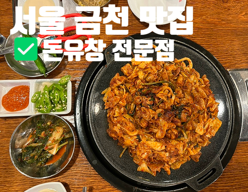 돈유창 이미지