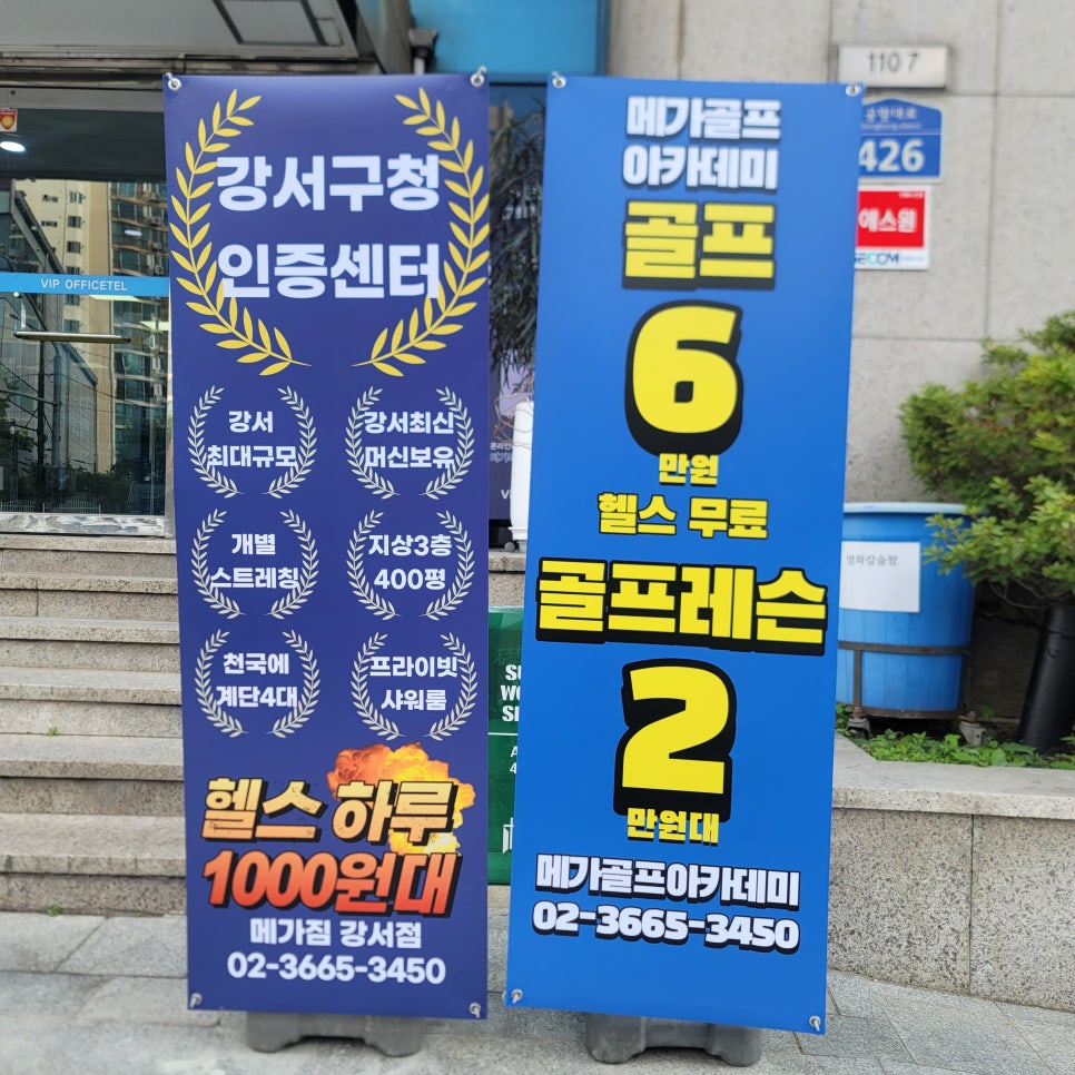메가짐강서 이미지