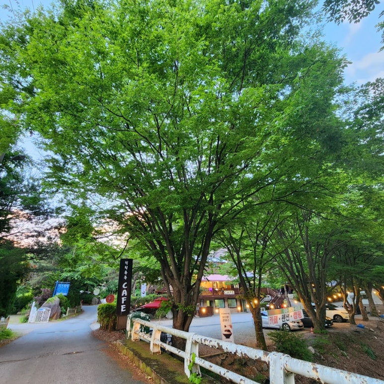 유명산258 이미지