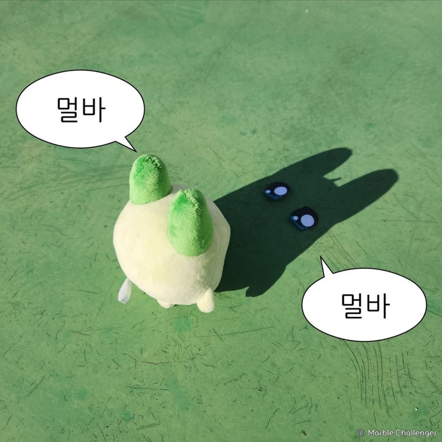 물;뭍 이미지