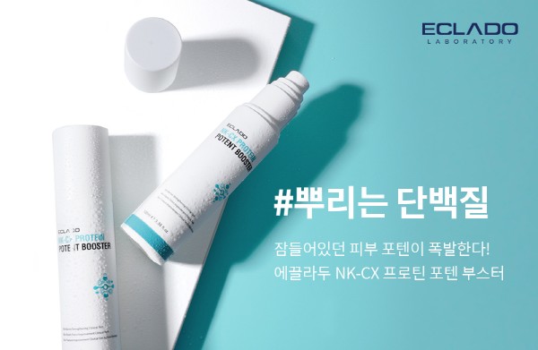 에끌라두 이미지