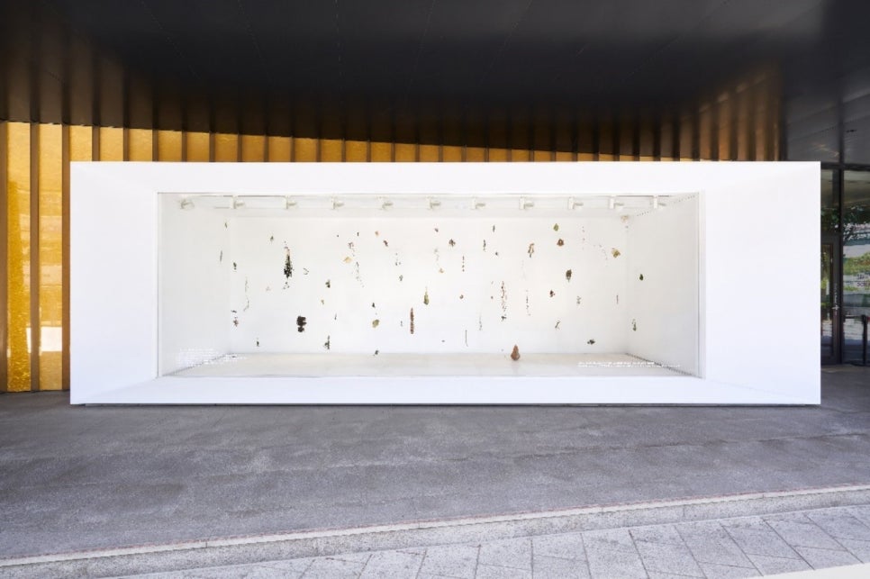 리우gallery 이미지