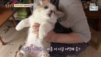카페카롱 이미지