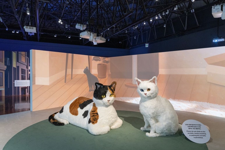 앙큼한고양이 이미지
