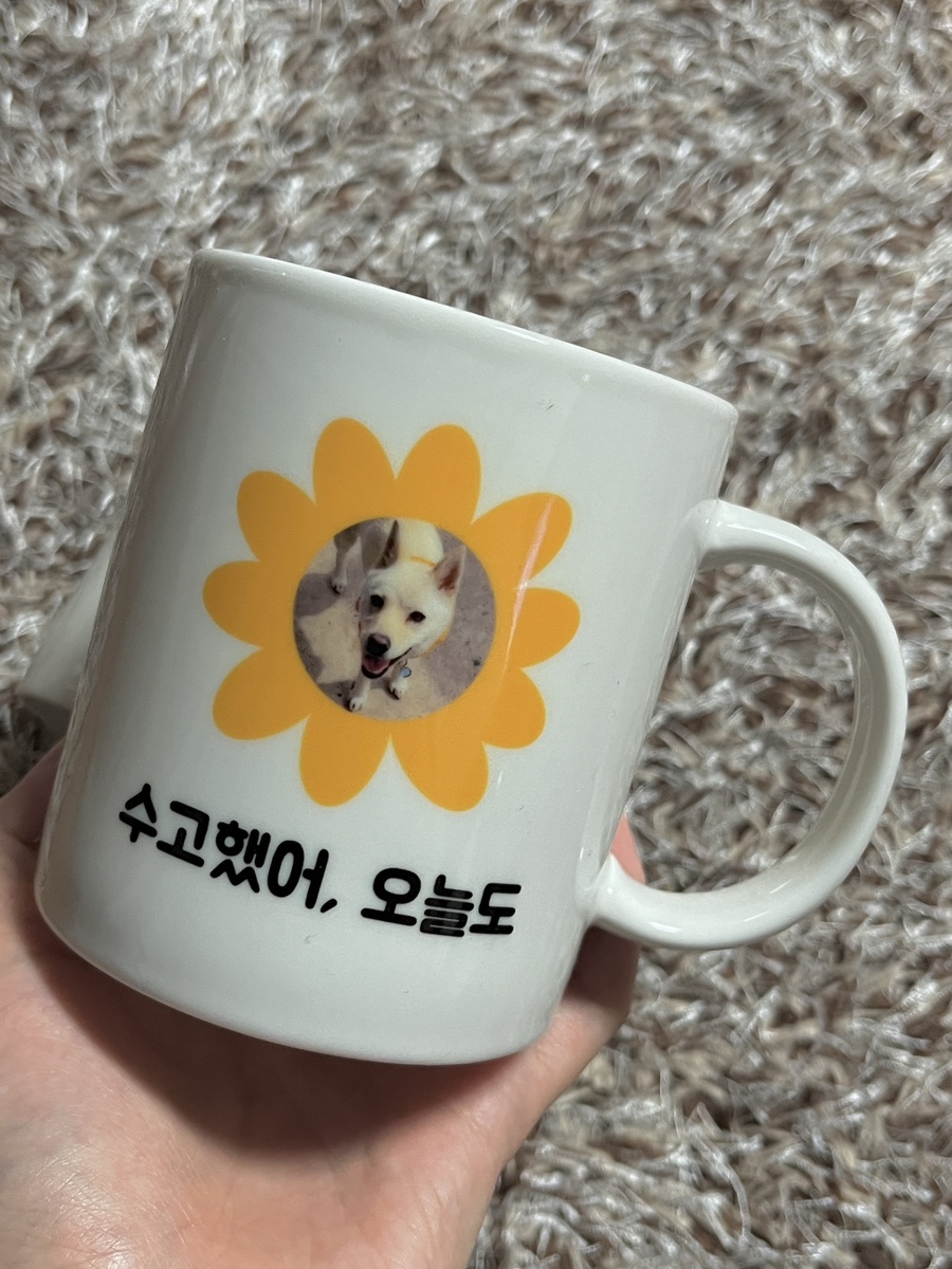 휴먼비샵 이미지