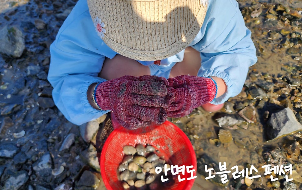 노블레스팬션 이미지