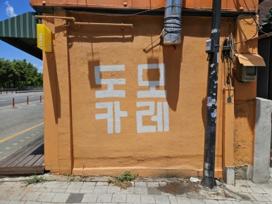도모카레 이미지