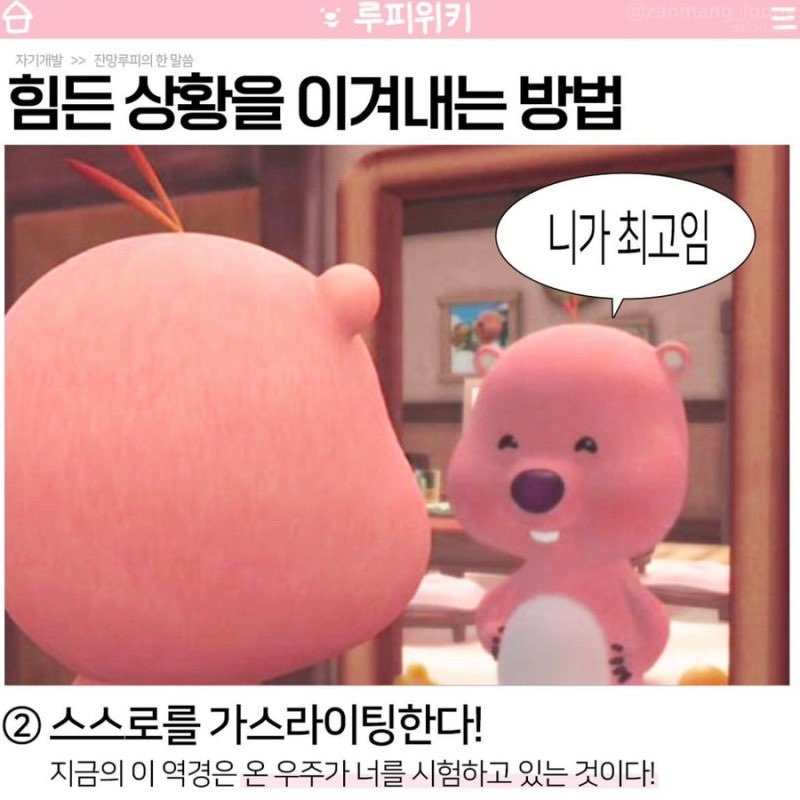 (주)라임 이미지