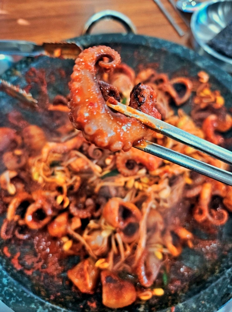 왔다맛집 이미지
