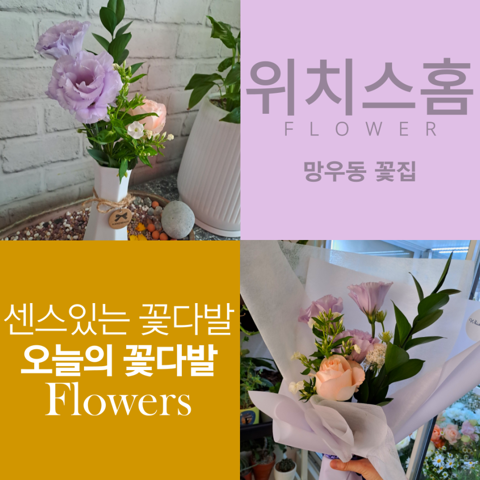 위치스홈 이미지