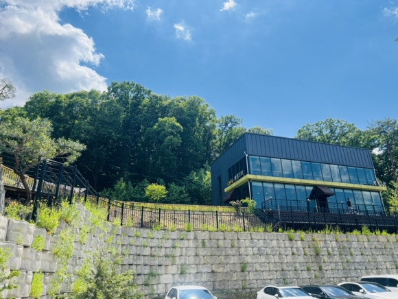 별똥구리 이미지