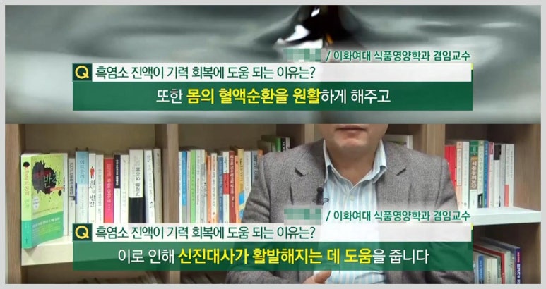 지리산사람들(지리산민들레) 이미지