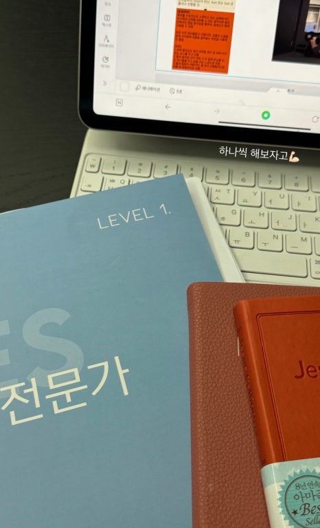 에르모소 이미지