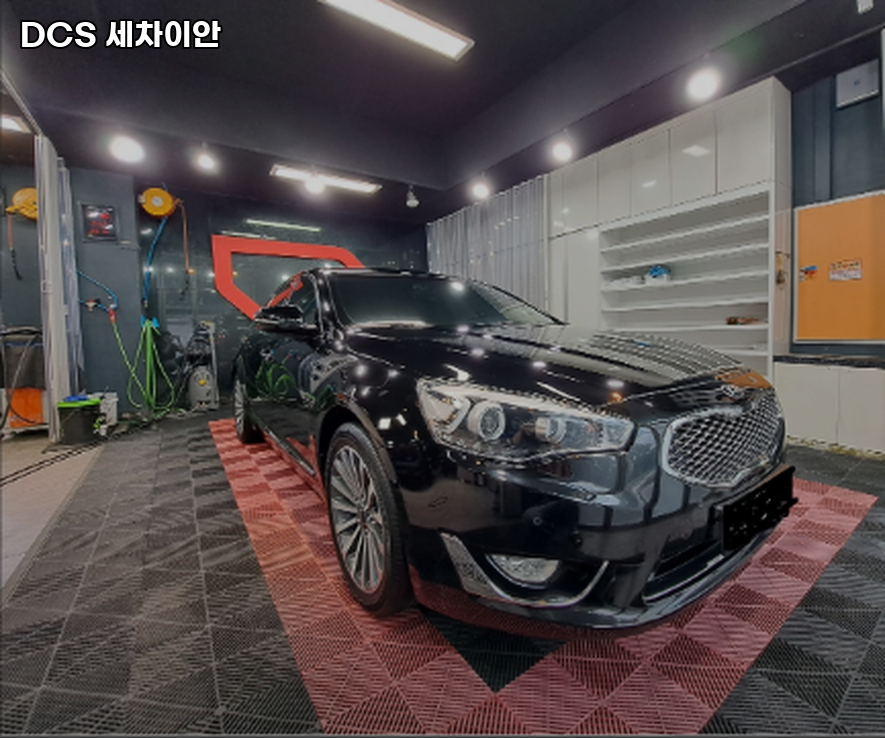 세차이안DCS 이미지