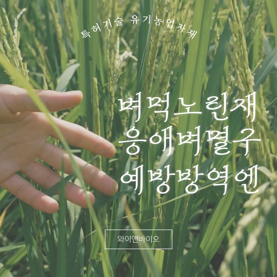 제일종묘사 이미지