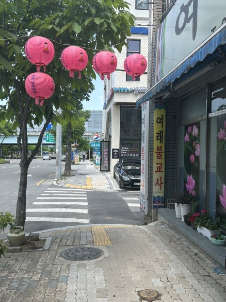 도도테라피 이미지
