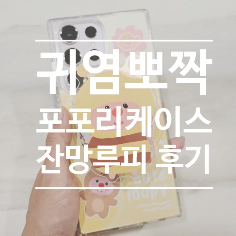 포포리 쇼핑 이미지