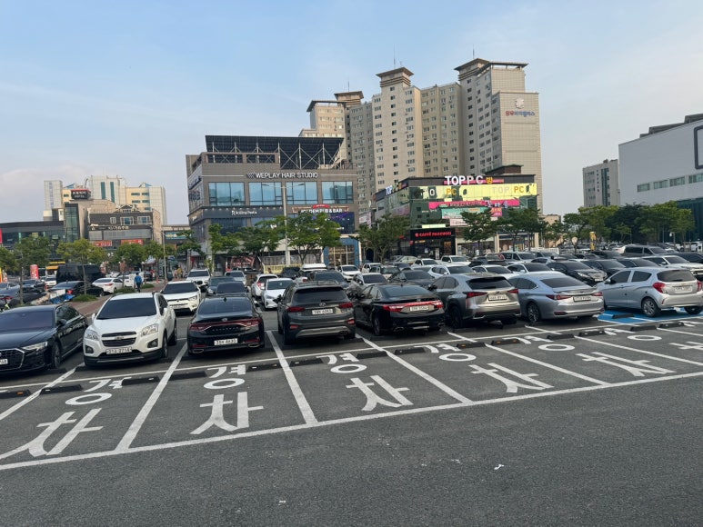 목포황금양꼬치 이미지