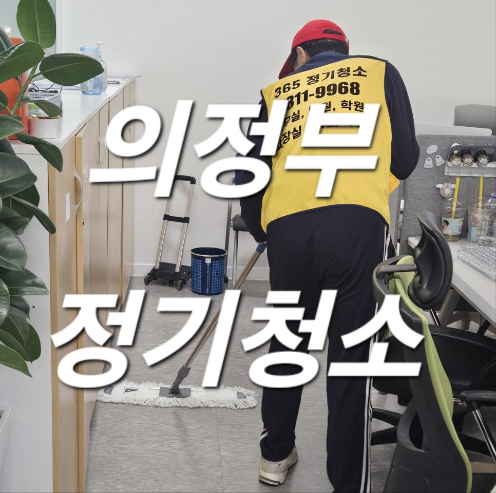 돌핀크린 이미지